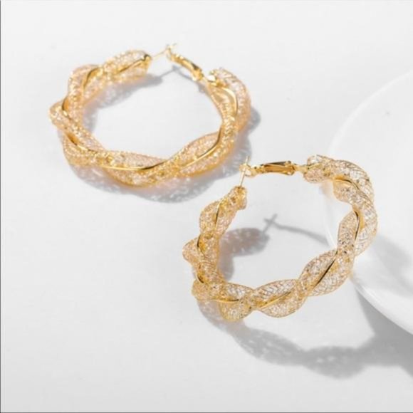 Elegant Gold and Silver Twisted Hoop Earrings - Picture 6 of 6